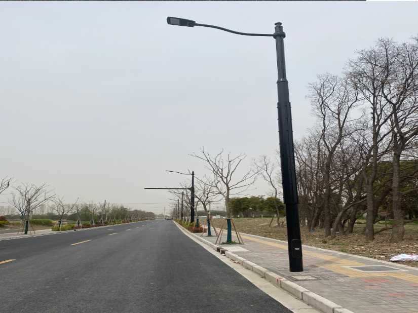 昂昂溪区上海综合杆 太阳能路灯工程